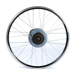 ERW 250(e-RUN Wheel e-bike conversion kit)